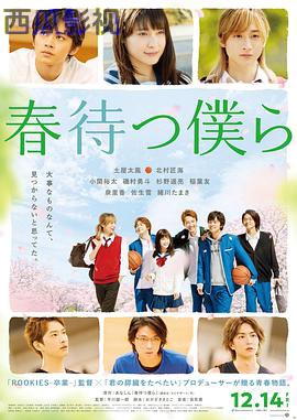 守望春天的我们