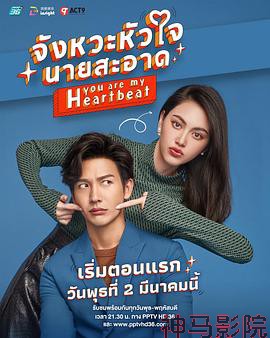 泰版狐狸的夏天