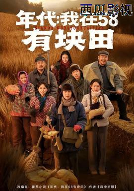 年代我在58有块田